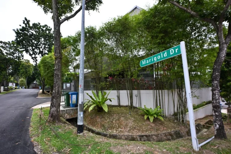 Landed homes near MacRitchie Reservoir and Upper Thomson Road