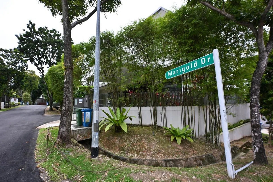 Landed homes near MacRitchie Reservoir and Upper Thomson Road
