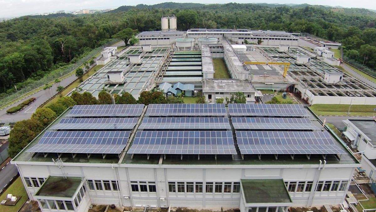 Two Workers Dead, Two Charged: The Toxic Gas Failure at Choa Chu Kang Waterworks