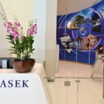 Temasek's AI Ambition: What a 15% Portfolio Target Actually Means