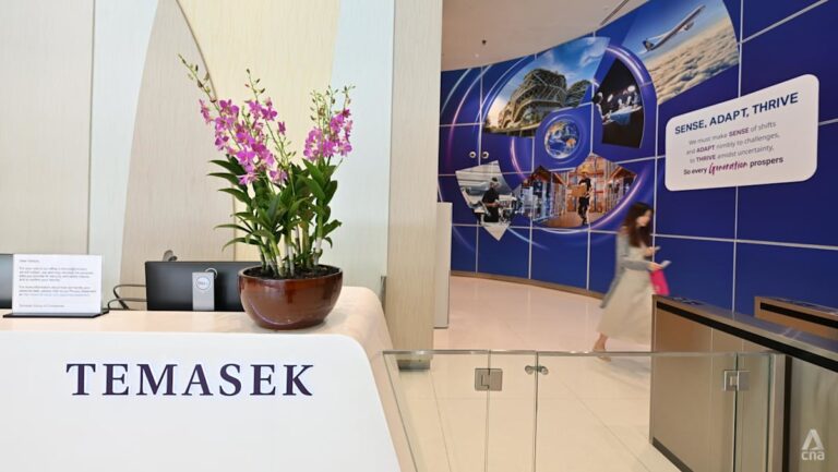 Temasek's AI Ambition: What a 15% Portfolio Target Actually Means