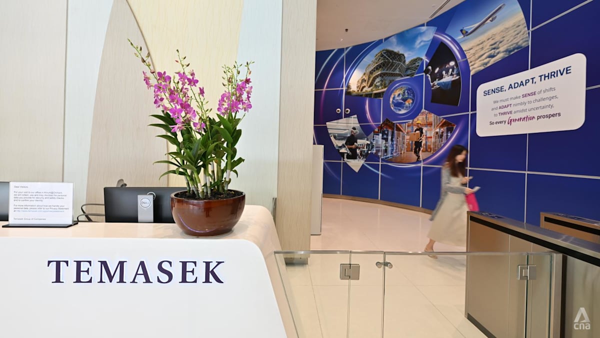 Temasek's AI Ambition: What a 15% Portfolio Target Actually Means