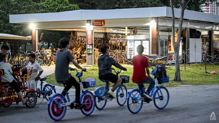 Singapore's Bicycle Rental Shops Face Structural Reckoning as Bike-Sharing Reshapes the Market