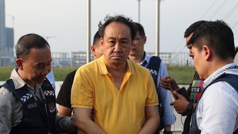 Lim Tean Returned to Singapore After Cross-Border Arrest: What Happened and Why It Matters