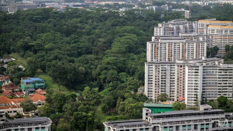 Beyond Forests or Flats: Why Singapore's Land Development Debate Demands a More Sophisticated Frame