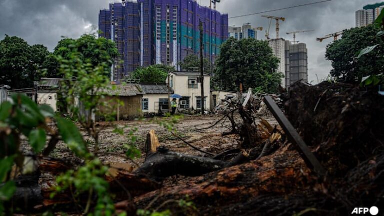 Hong Kong's US$28 Billion Northern Metropolis: Ambition, Displacement and the Price of Integration