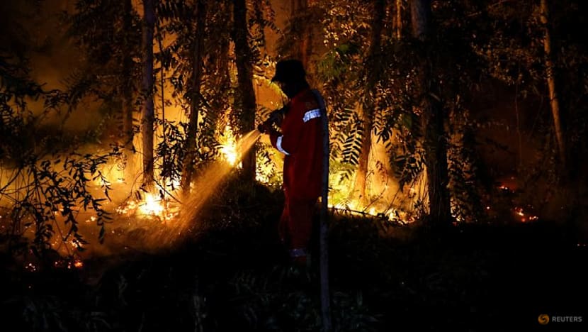 Kencana Agri Under Indonesian Inquiry as Singapore Moves Against Haze-Linked Firms