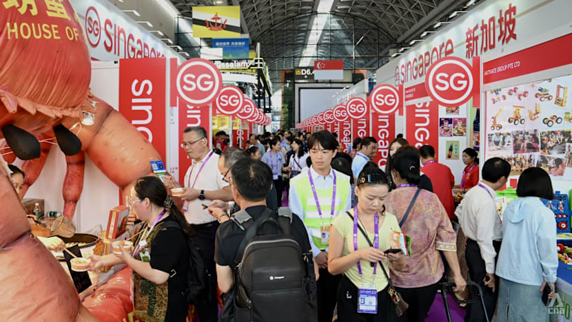 Nanning's Blue Ocean Promise: How Singaporean Firms Are Navigating China's Less-Charted Markets